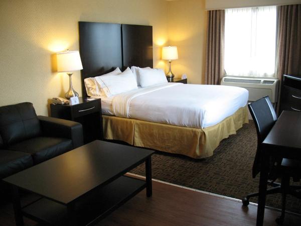 Holiday Inn Express Philadelphia Penn's Landing, an IHG Hotel : photo 6 de la chambre chambre lit king-size deluxe - non-fumeurs 