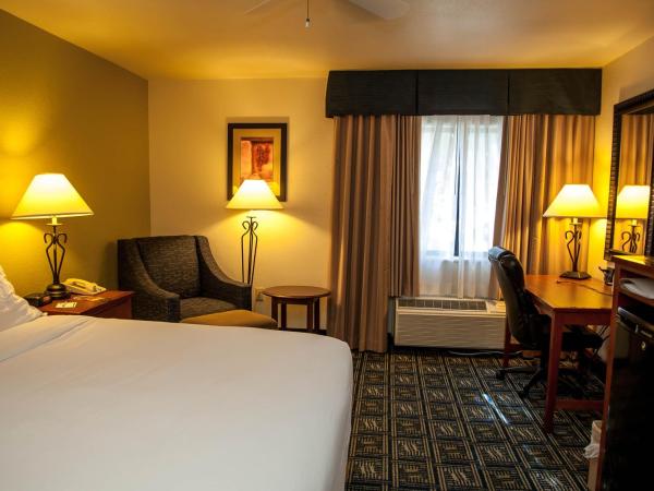 Holiday Inn Express Tucson-Airport, an IHG Hotel : photo 6 de la chambre chambre lit king-size standard