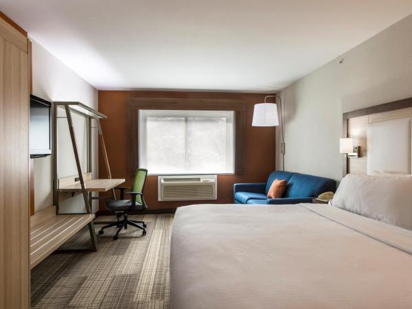 Holiday Inn Express & Suites Halifax - Bedford, an IHG Hotel : photo 4 de la chambre chambre lit king-size