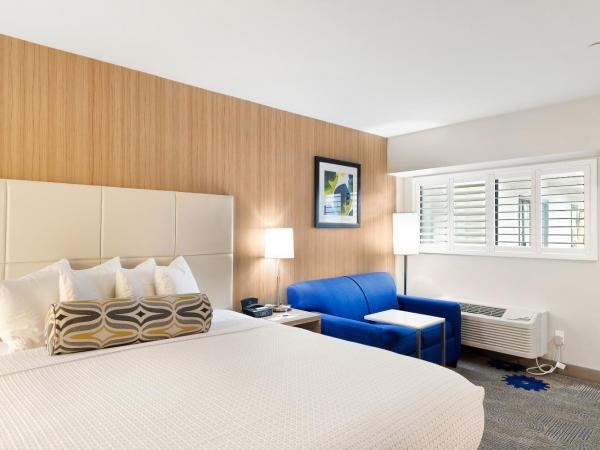 Best Western Red Coach Inn : photo 6 de la chambre chambre lit king-size avec patio