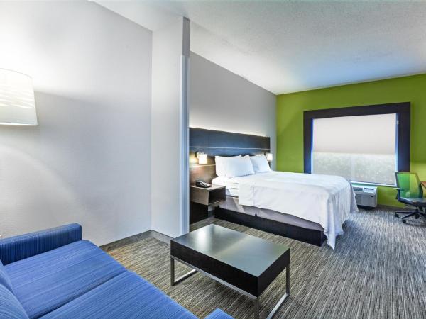Holiday Inn Express New Orleans East, an IHG Hotel : photo 2 de la chambre suite lit king-size avec canapé-lit