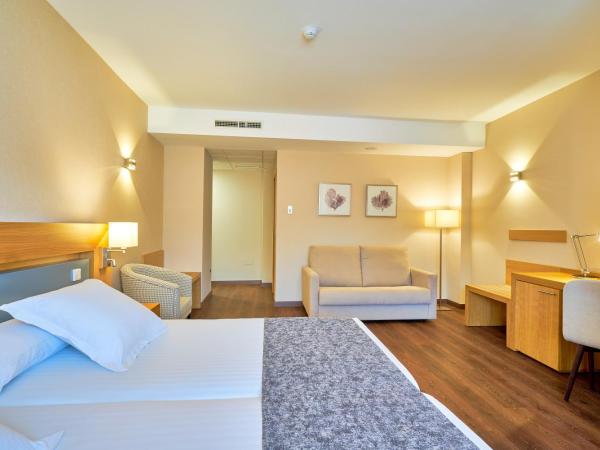 Hotel Guadalmedina : photo 8 de la chambre chambre double ou lits jumeaux