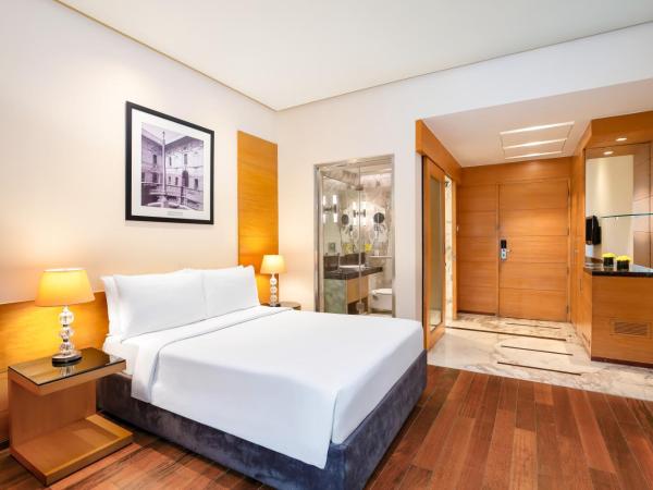 Radisson Blu Marina Hotel Connaught Place : photo 4 de la chambre chambre standard