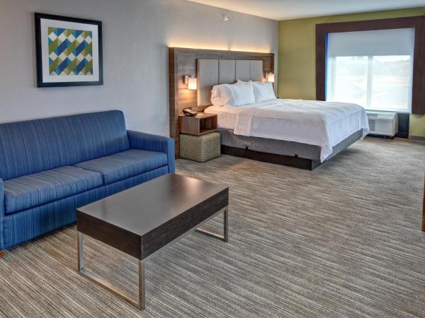 Holiday Inn Express Hotel & Suites Memphis Southwind, an IHG Hotel : photo 5 de la chambre chambre lit king-size standard