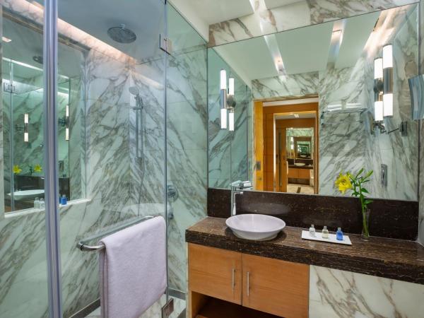 Radisson Blu Marina Hotel Connaught Place : photo 7 de la chambre chambre standard