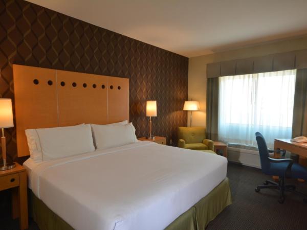 Holiday Inn Express & Suites Monterrey Aeropuerto, an IHG Hotel : photo 3 de la chambre chambre lit king-size standard - accessible aux personnes à mobilité réduite