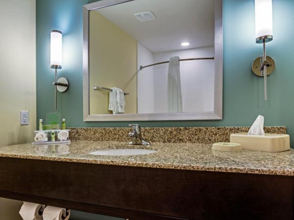 Holiday Inn Express Hotel & Suites Orlando East-UCF Area, an IHG Hotel : photo 3 de la chambre chambre lit king-size