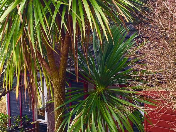 Les chambres du Chat Perché : photo 1 de la chambre chambre double