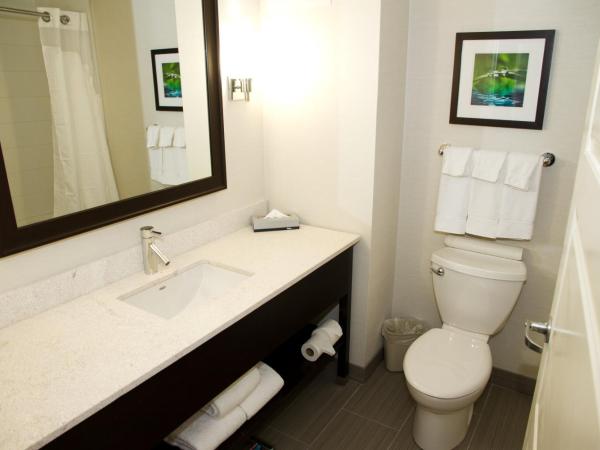 Holiday Inn Hotel & Suites Red Deer, an IHG Hotel : photo 1 de la chambre chambre standard
