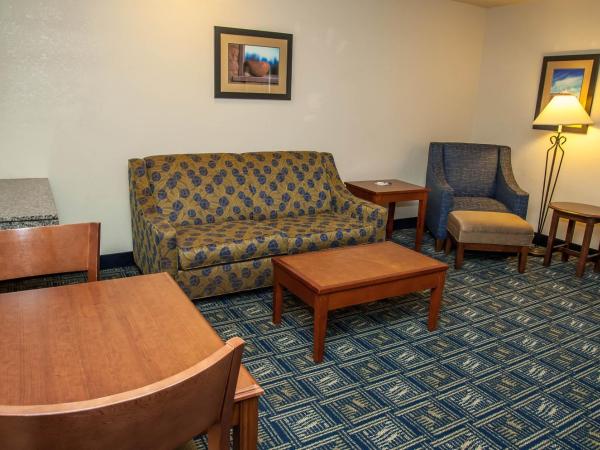 Holiday Inn Express Tucson-Airport, an IHG Hotel : photo 10 de la chambre chambre lit king-size standard