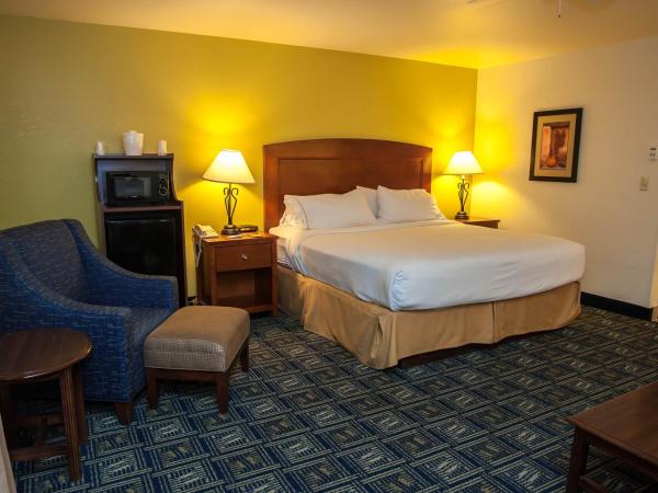 Holiday Inn Express Tucson-Airport, an IHG Hotel : photo 3 de la chambre chambre king standard avec canapé-lit