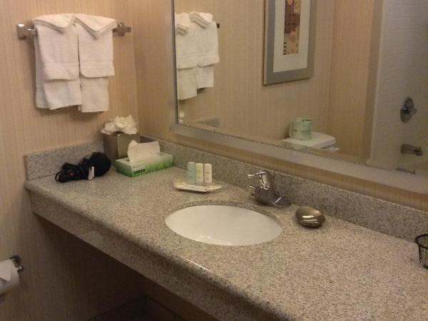 Holiday Inn - Indianapolis Downtown, an IHG Hotel : photo 1 de la chambre chambre lit king-size loisirs - non-fumeurs