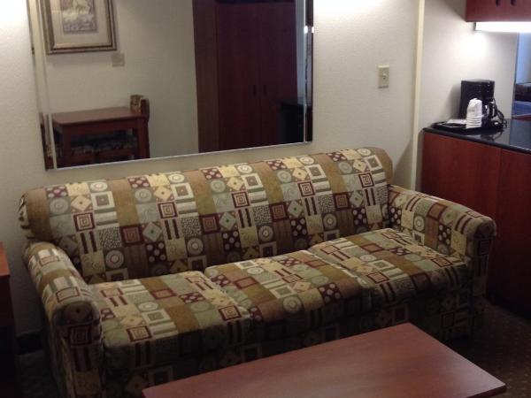 Microtel Inn & Suites by Wyndham Indianapolis Airport : photo 9 de la chambre suite lit queen-size avec canapé-lit - accessible aux personnes à mobilité réduite