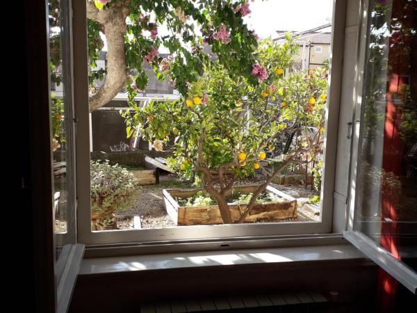 Villa Radić : photo 6 de la chambre chambre double avec salle de bains privative