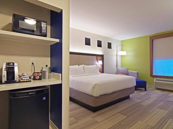Holiday Inn Express & Suites - Phoenix North - Scottsdale, an IHG Hotel : photo 2 de la chambre chambre lit king-size standard