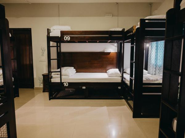 Horn Ok Please Hostel Jaipur : photo 1 de la chambre lit simple dans dortoir de 10 lits