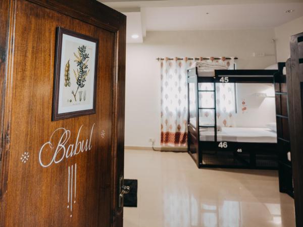 Horn Ok Please Hostel Jaipur : photo 2 de la chambre lit dans dortoir mixte de 6 lits