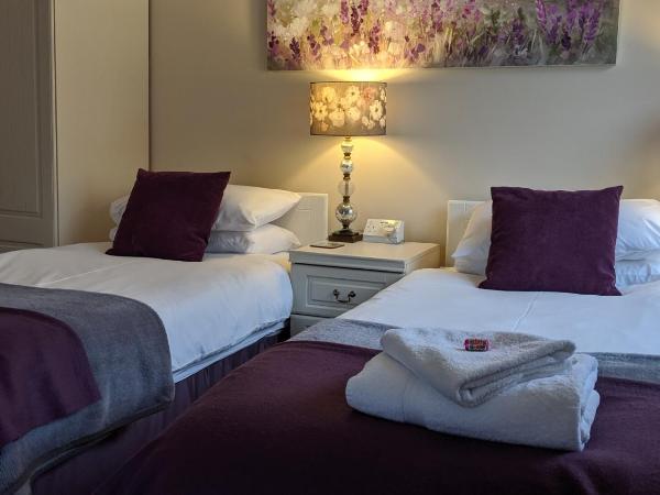 Alexander Lodge Guest House : photo 3 de la chambre chambre deluxe double ou lits jumeaux