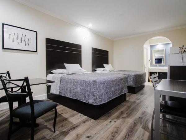 Palace Inn TX-249 : photo 2 de la chambre chambre avec 2 grands lits queen-size