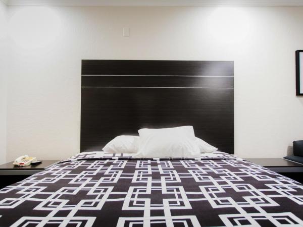 Palace Inn TX-249 : photo 8 de la chambre chambre lit king-size - non-fumeurs