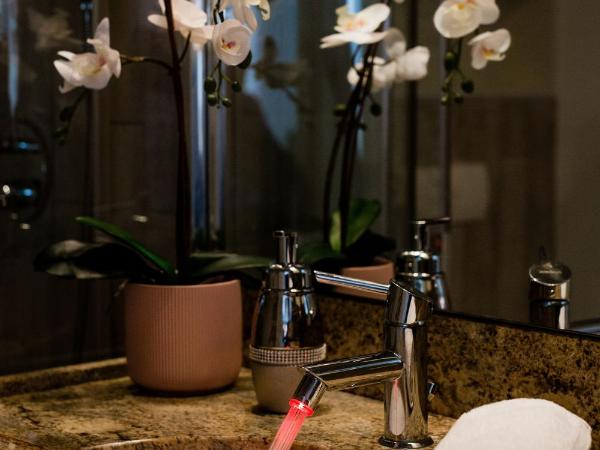 Grand Budapest Apartments : photo 6 de la chambre appartement supérieur 1 chambre