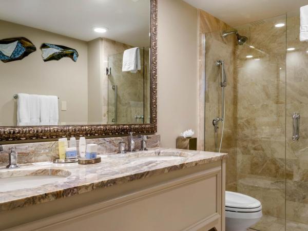 Omni Royal Orleans Hotel : photo 7 de la chambre suite lit king-size royale deluxe