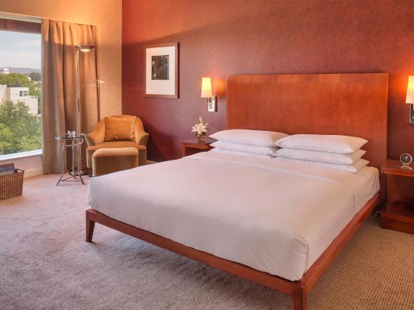Park Hyatt Mendoza Hotel, Casino & Spa : photo 3 de la chambre chambre lit king-size - vue sur ville