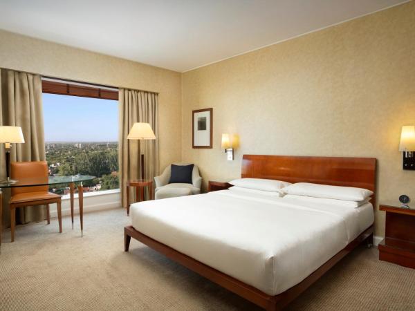 Park Hyatt Mendoza Hotel, Casino & Spa : photo 4 de la chambre chambre lit king-size - vue sur ville