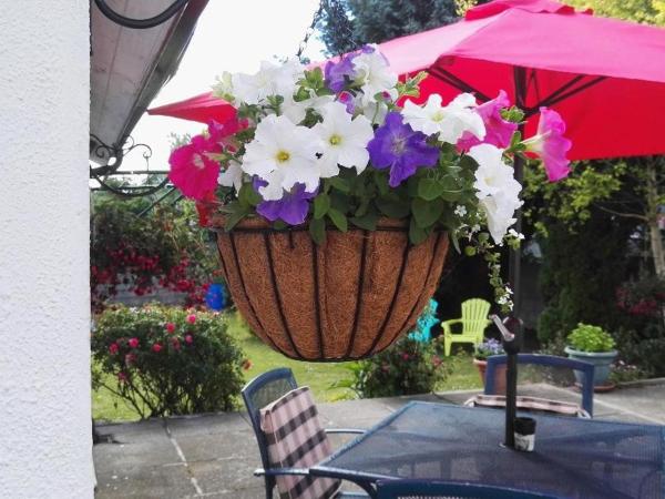 The Vee Guest Accommodation : photo 4 de la chambre chambre double deluxe avec douche