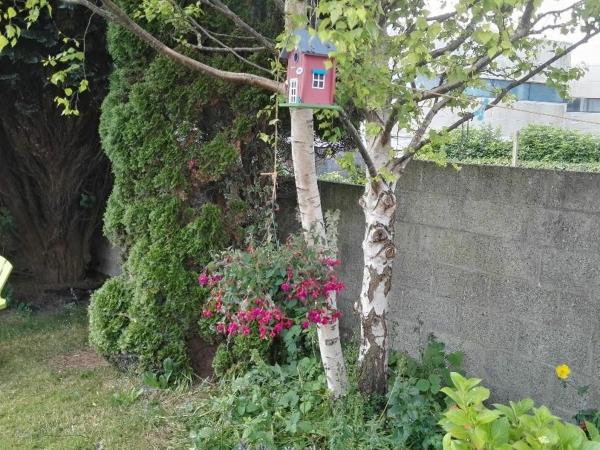 The Vee Guest Accommodation : photo 7 de la chambre chambre double deluxe avec douche