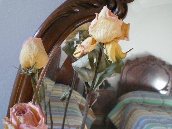 Casa Ariodante : photo 4 de la chambre appartement 2 chambres