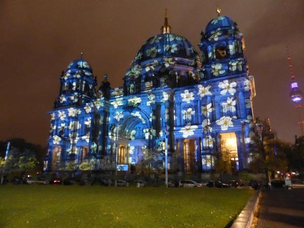 Apartments Dahlie & Nelke : photo 10 de la chambre appartement 2 chambres - manteuffelstr.17.1