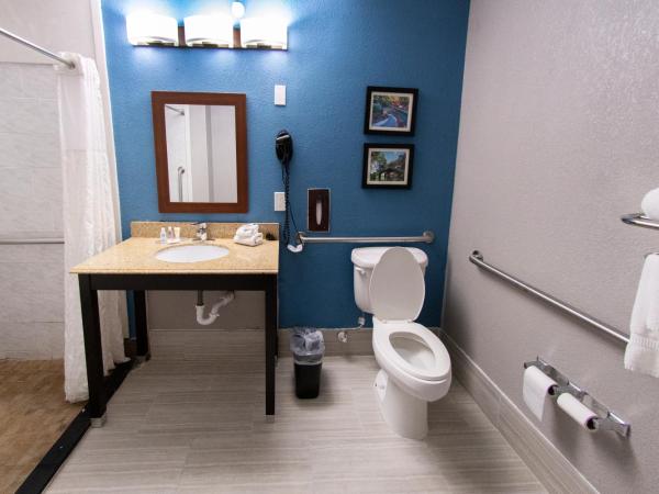 Comfort Inn & Suites Near Medical Center : photo 3 de la chambre chambre avec 2 lits queen-size - accessible aux personnes à mobilité réduite - non-fumeurs