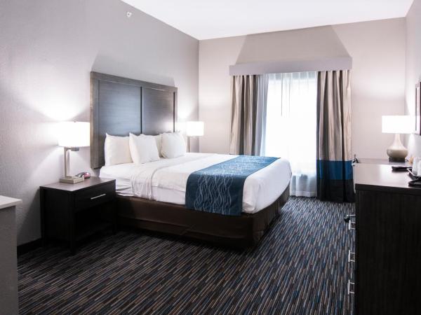 Comfort Inn & Suites Near Medical Center : photo 5 de la chambre chambre lit king-size