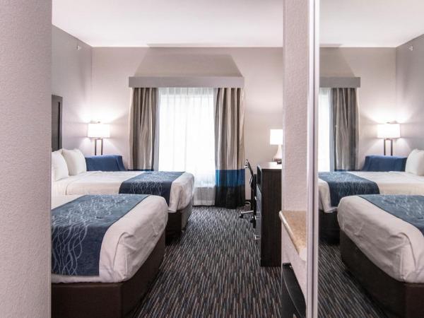 Comfort Inn & Suites Near Medical Center : photo 5 de la chambre chambre 2 lits queen-size - non-fumeurs