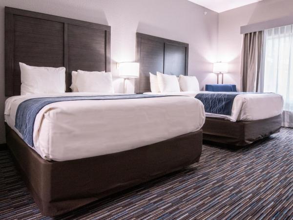 Comfort Inn & Suites Near Medical Center : photo 10 de la chambre suite 2 lits queen-size - non-fumeurs