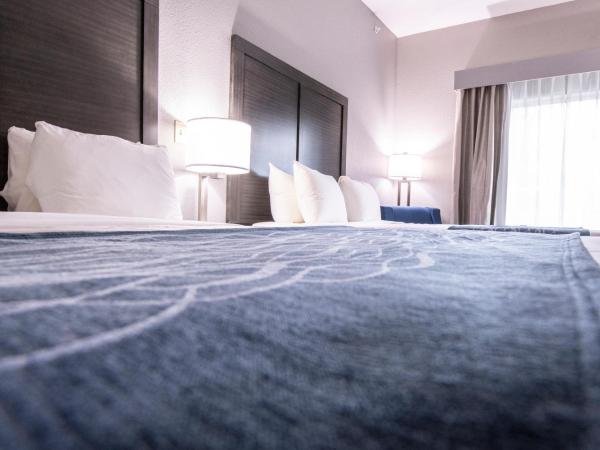 Comfort Inn & Suites Near Medical Center : photo 8 de la chambre suite 2 lits queen-size - non-fumeurs