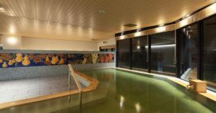 Kyoto Hot Spring Hatoya Zuihokaku Hotel : photo 1 de la chambre room #33913725