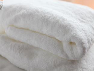 Daiwa Roynet Hotel Kyoto-Hachijoguchi : photo 6 de la chambre room #37839316