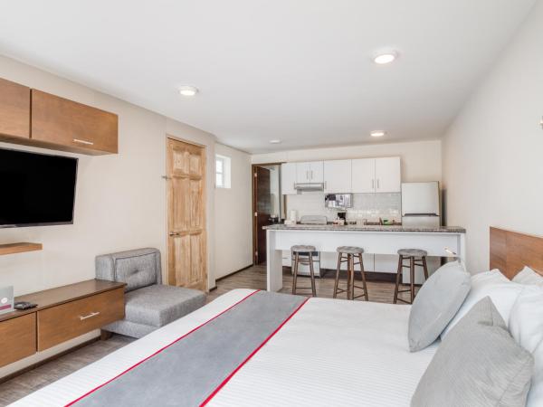 OM 686 URBAN LOFTS Narvarte : photo 6 de la chambre appartement avec terrasse