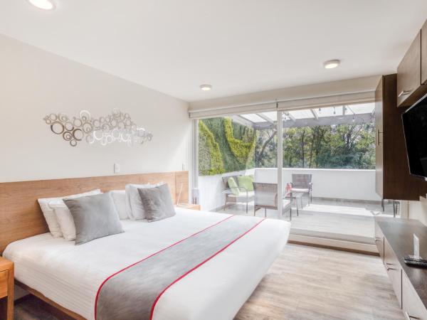 OM 686 URBAN LOFTS Narvarte : photo 7 de la chambre appartement avec terrasse