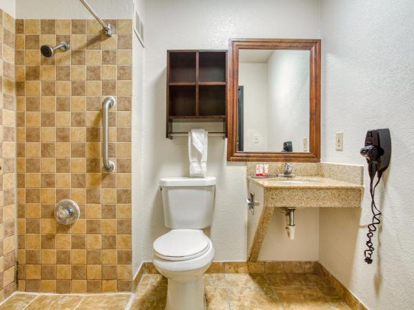 Alexis Hotel & Banquets Dallas Park Central Galleria : photo 4 de la chambre chambre lit king-size