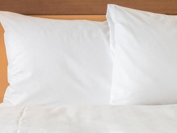 Holiday Inn Express & Suites San Antonio Brooks City Base, an IHG Hotel : photo 4 de la chambre chambre standard