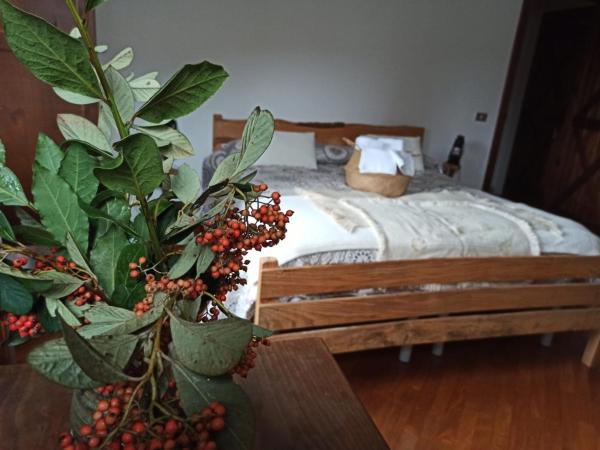 Masseria La Fiorita : photo 9 de la chambre chambre triple