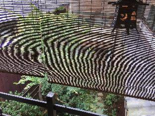 Gionkoh : photo 6 de la chambre room #247985209