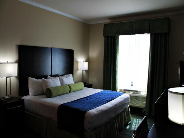 Cityview Inn & Suites Downtown /RiverCenter Area : photo 8 de la chambre chambre lit king-size