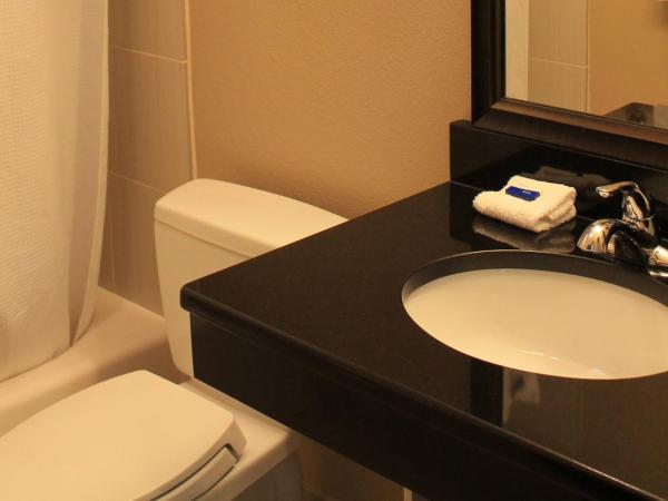 Cityview Inn & Suites Downtown /RiverCenter Area : photo 3 de la chambre chambre avec 2 grands lits queen-size