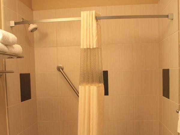 Cityview Inn & Suites Downtown /RiverCenter Area : photo 5 de la chambre chambre avec 2 grands lits queen-size