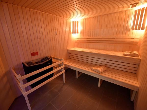 Kyriad Hotel Dijon Gare : photo 9 de la chambre chambre simple avec accès au spa