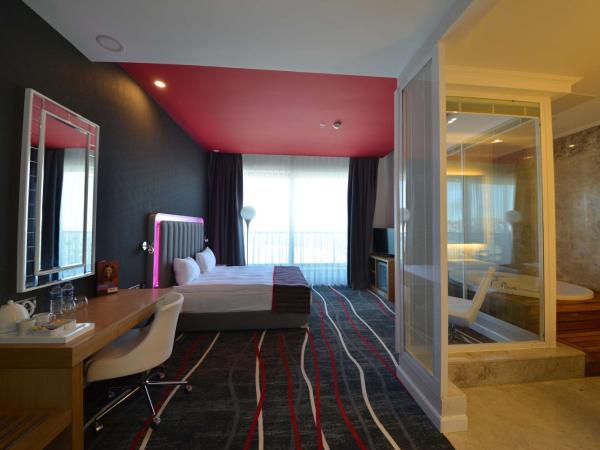 Park Inn by Radisson Ankara Cankaya : photo 2 de la chambre chambre double supérieure